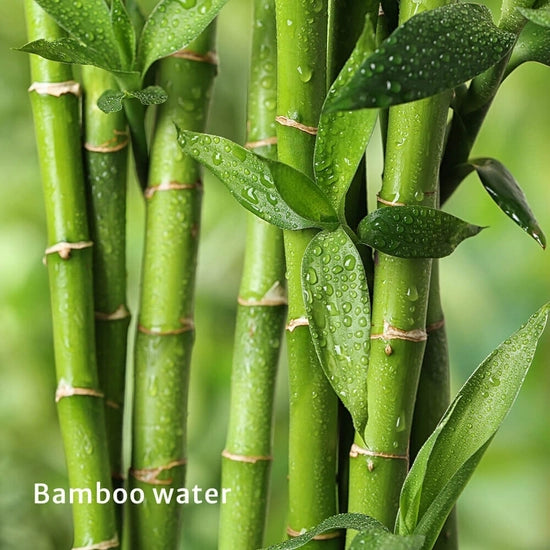 Glow Protection & Shielding Bamboo Mist